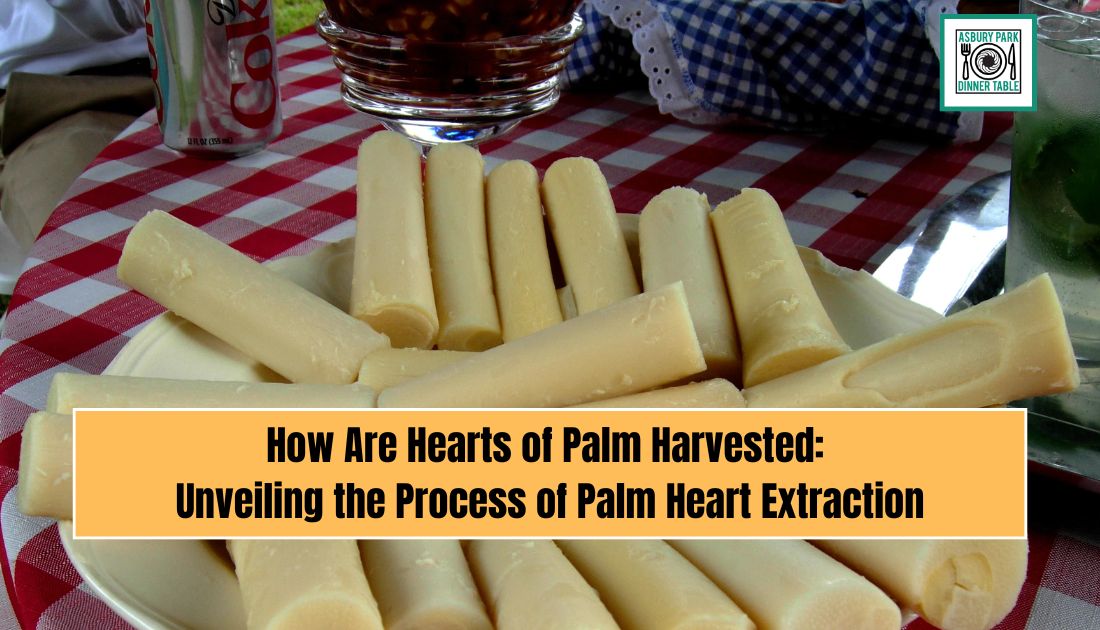 How Are Hearts of Palm Harvested: Unveiling the Process of Palm Heart Extraction